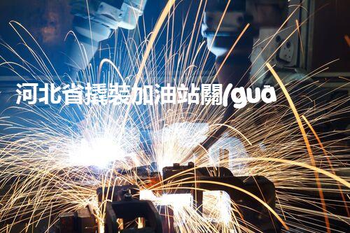 河北省撬裝加油站關(guān)鍵技術(shù)突破！化工廠拆除工程的新方法探索？